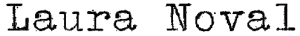 logo laura noval